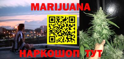 дурь Славгород