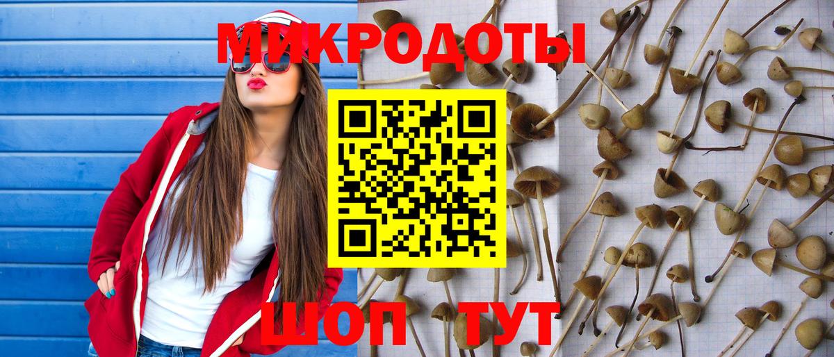 Галлюциногенные грибы Magic Shrooms  Псилоцибиновые грибы Magic Shrooms  Новоалександровск  Вход с VPN 